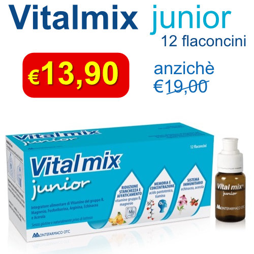 vitalmix-junior